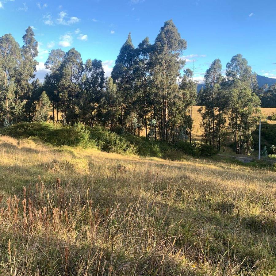 Valle Venta Terreno 3500 m² Dentro de Urbanizacion Valle de Los Chillos Altos de Betania — imagen 5