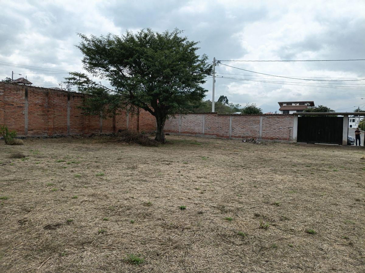 Se Vende Bonito Lote de 1.017 Mt, Totalmente Plano Sector Hilacril en Tumbaco — imagen 5