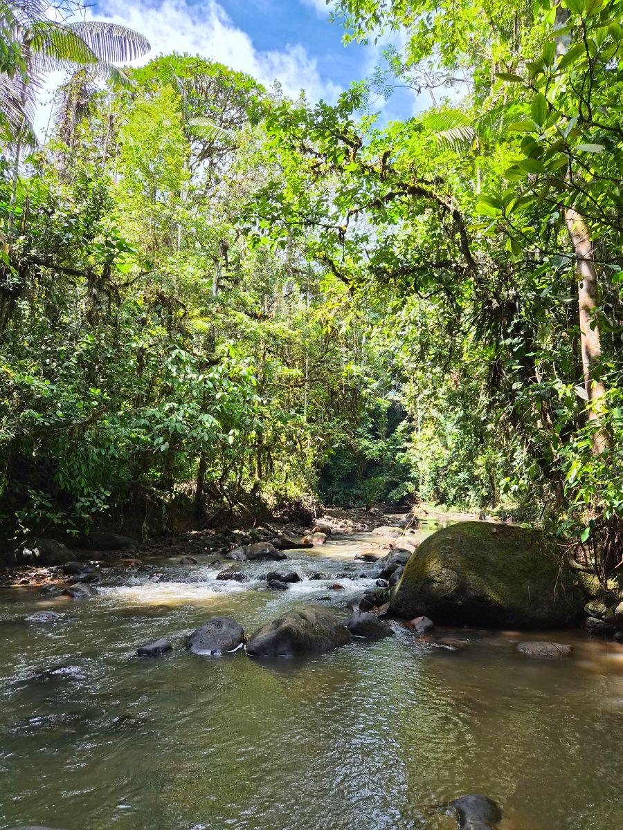 Finca en Venta 10.000 m² - Pedro Vicente Maldonado, a 10 Minutos del Centro, con Salida Al Río. Provincia de Pichincha — imagen 7