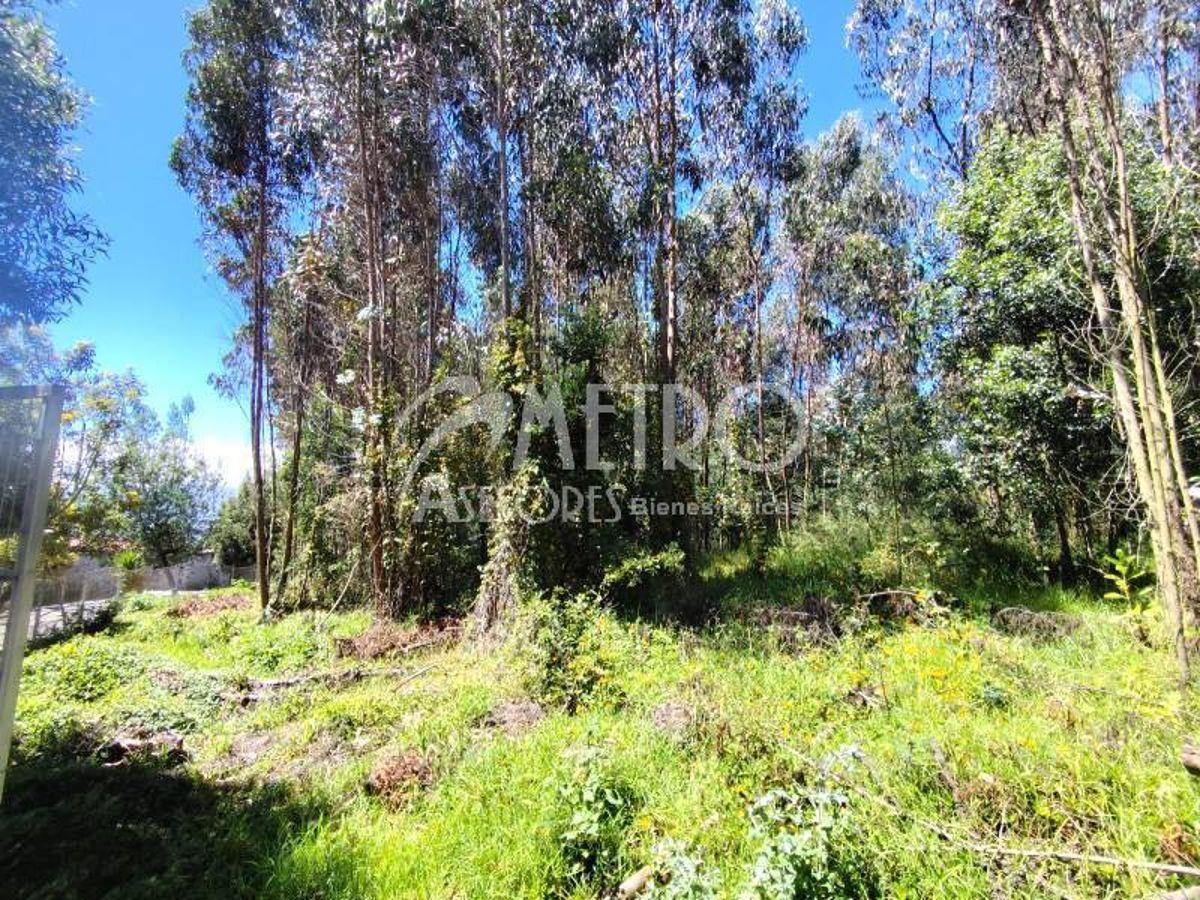 Terreno de 2.550 m² en Venta Dentro de La Urbanización Campo Alegre — imagen 5