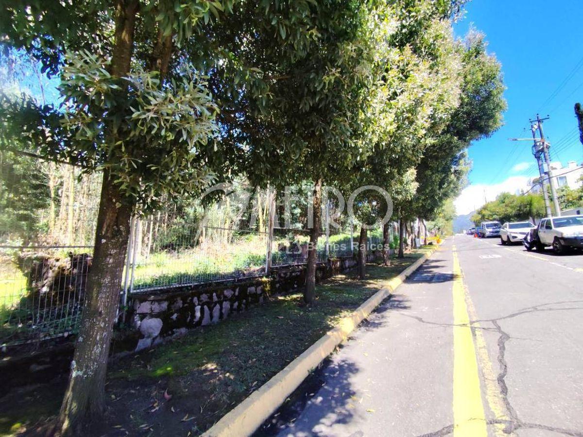 Terreno de 2.550 m² en Venta Dentro de La Urbanización Campo Alegre — imagen 3