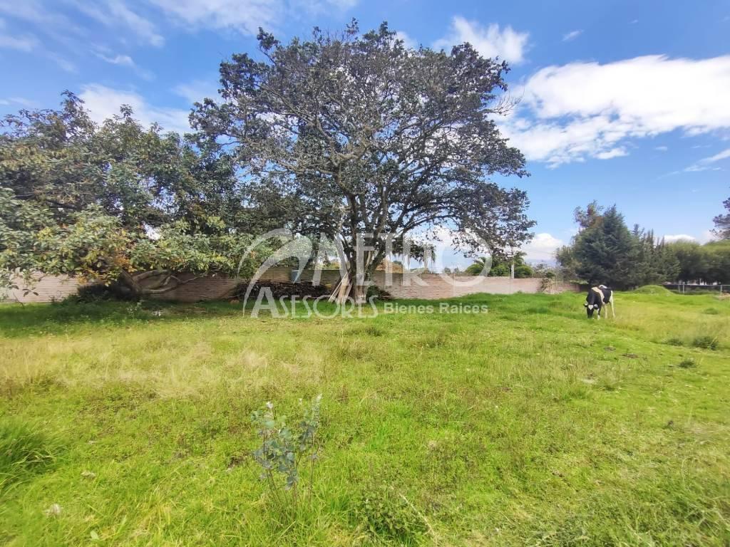 Terreno en Venta 600 m² en Puembo — imagen 6