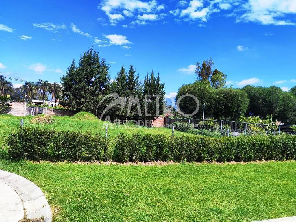 Terreno en Venta 600 m² en Puembo — imagen 5