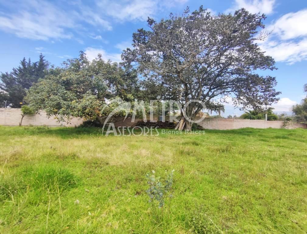 Terreno en Venta 600 m² en Puembo — imagen 4