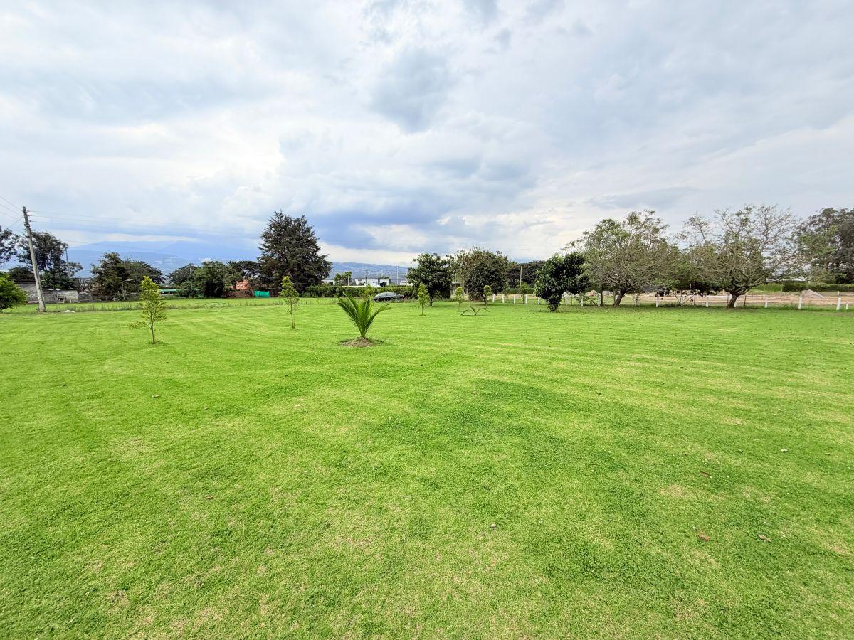 Puembo – Sector Mangahuantag | Venta de 2 Terrenos Independientes de 2.250 m² Cada Uno en Conjunto — imagen 9