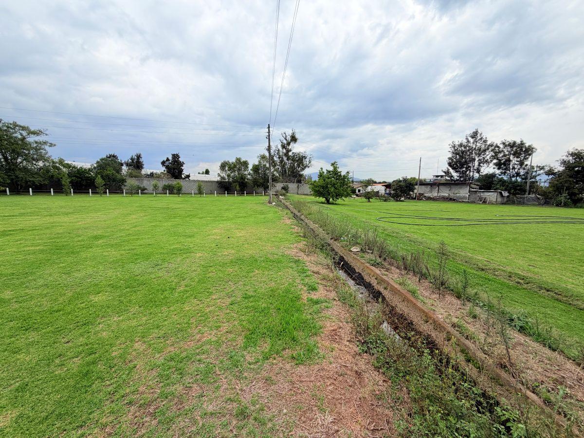 Puembo – Sector Mangahuantag | Venta de 2 Terrenos Independientes de 2.250 m² Cada Uno en Conjunto — imagen 8