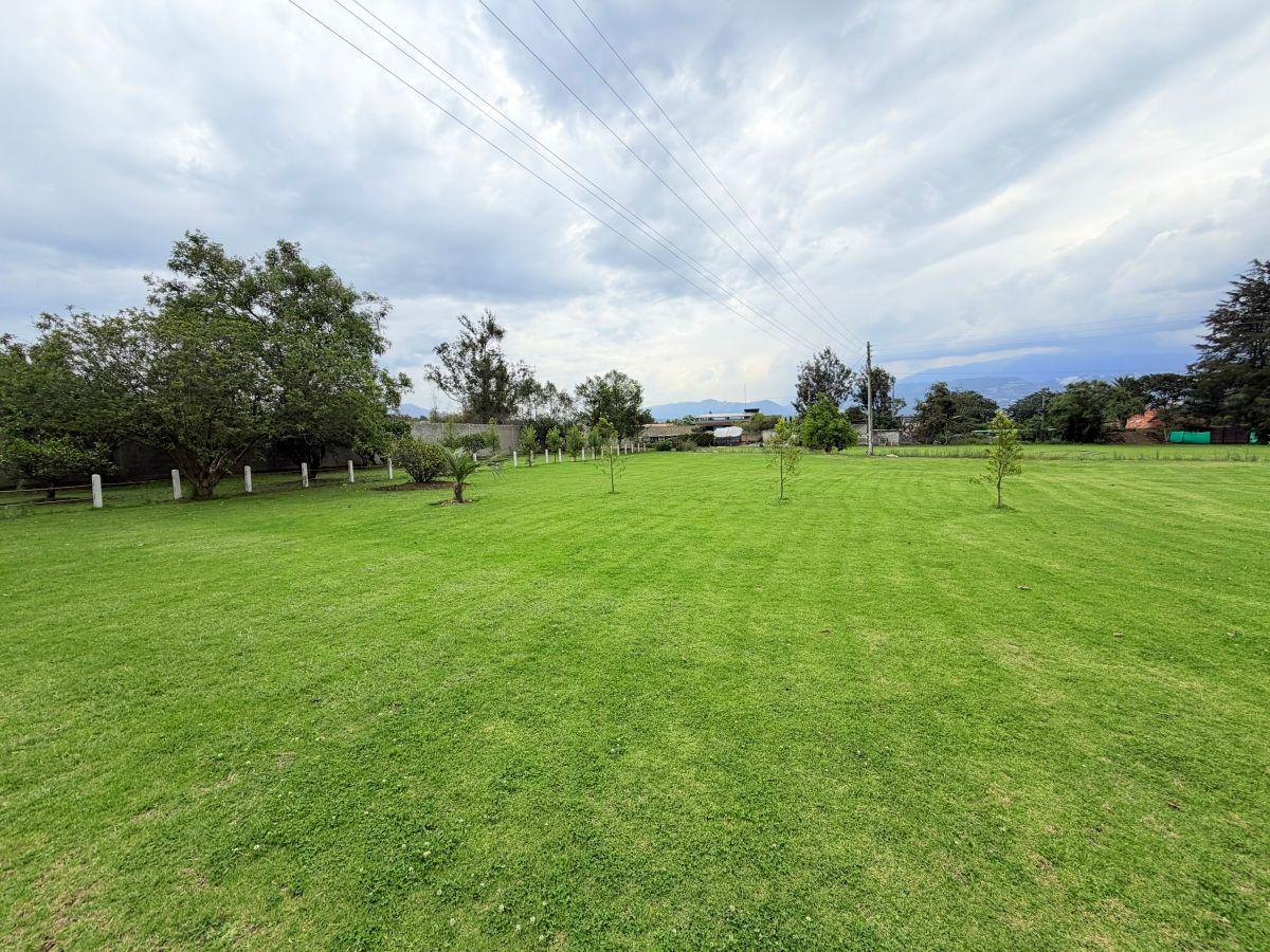 Puembo – Sector Mangahuantag | Venta de 2 Terrenos Independientes de 2.250 m² Cada Uno en Conjunto — imagen 7