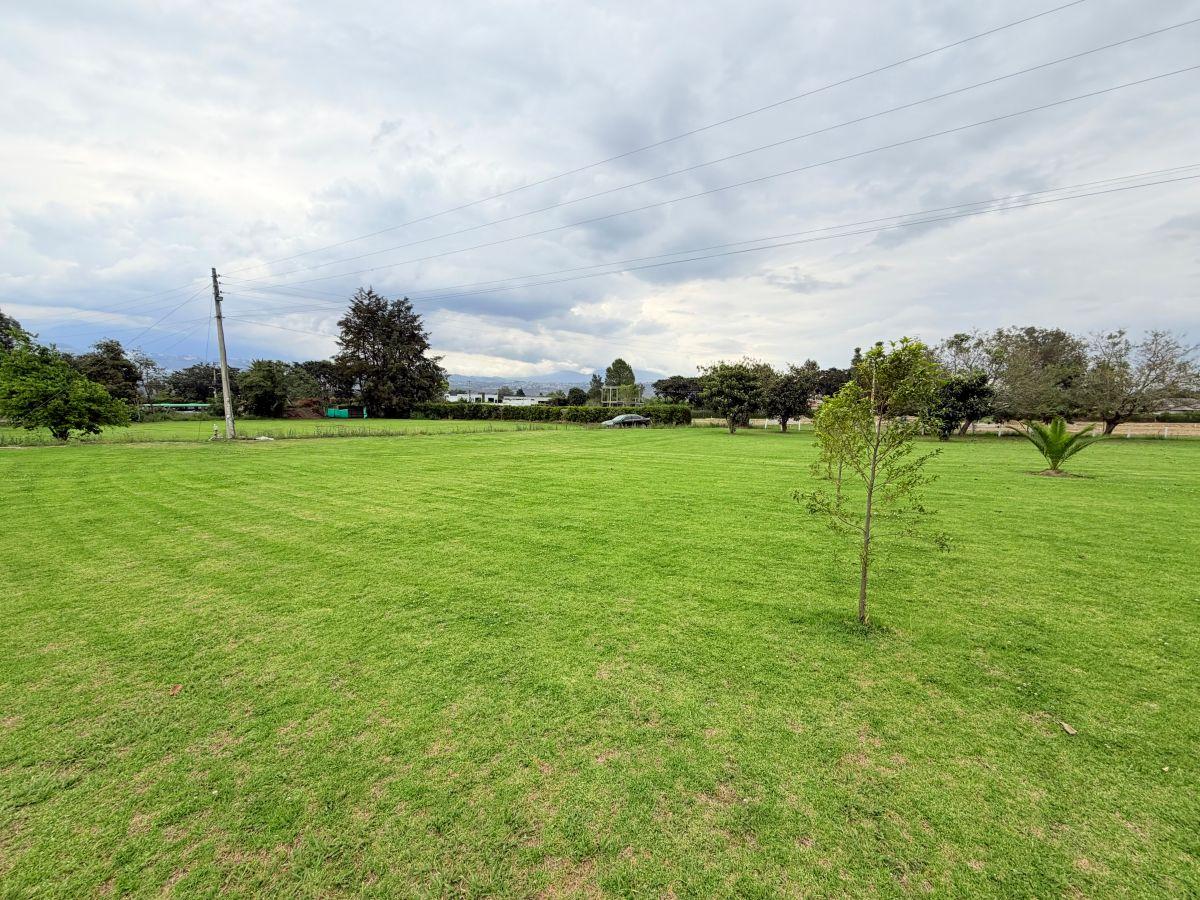 Puembo – Sector Mangahuantag | Venta de 2 Terrenos Independientes de 2.250 m² Cada Uno en Conjunto — imagen 6