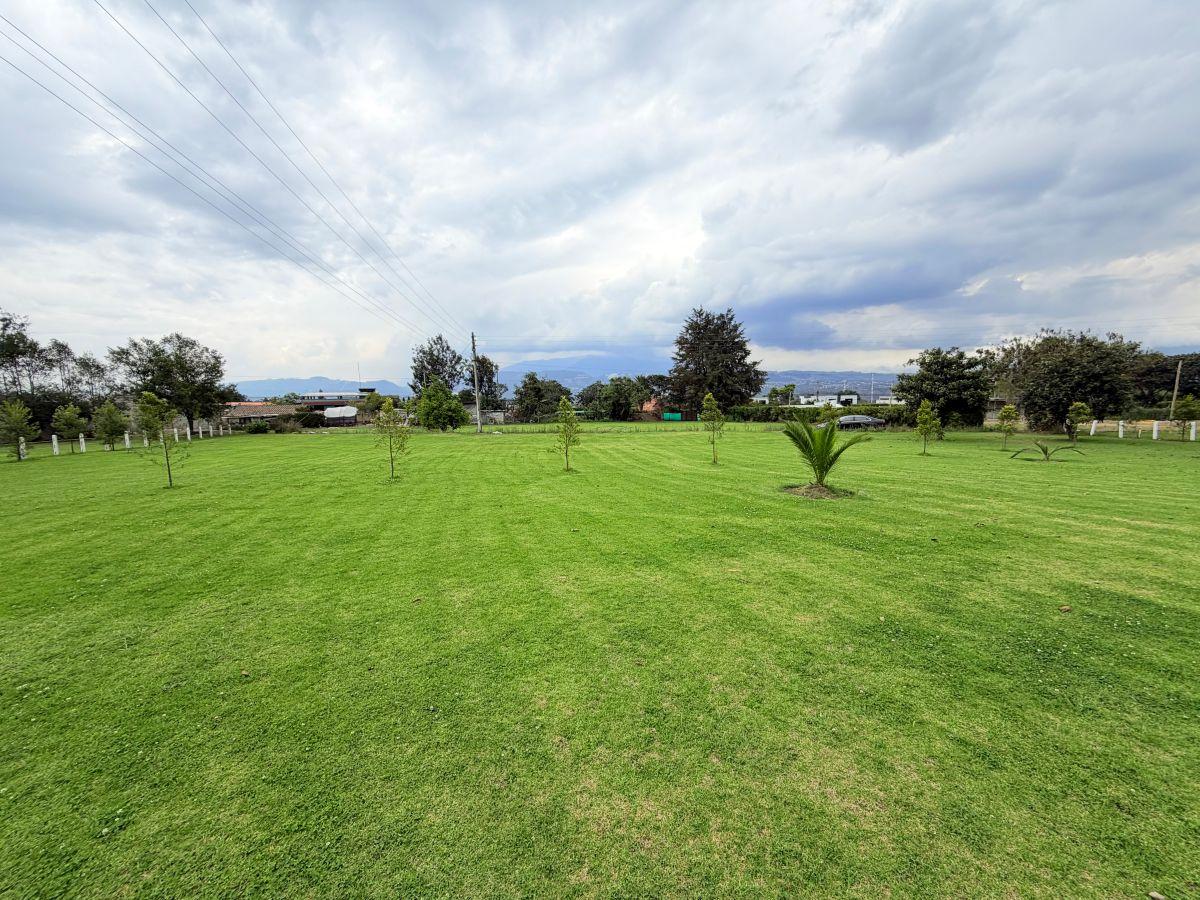 Puembo – Sector Mangahuantag | Venta de 2 Terrenos Independientes de 2.250 m² Cada Uno en Conjunto — imagen 4