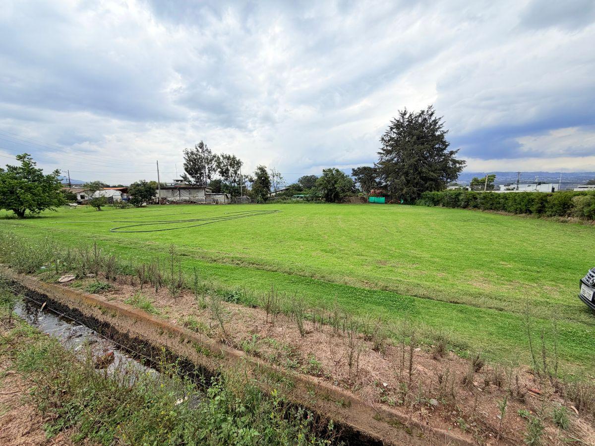 Puembo – Sector Mangahuantag | Venta de 2 Terrenos Independientes de 2.250 m² Cada Uno en Conjunto — imagen 3