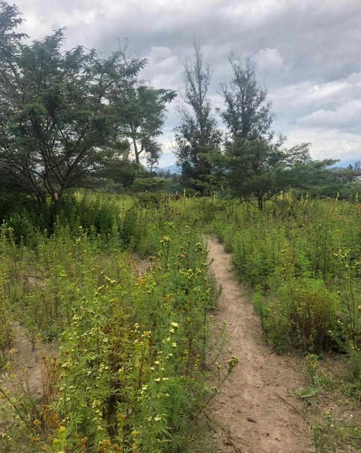 Terreno en Venta 7.080 m² en Checa — imagen 9