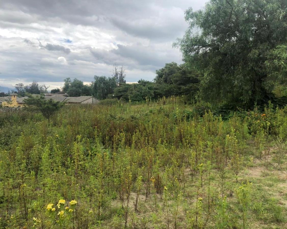 Terreno en Venta 7.080 m² en Checa — imagen 8