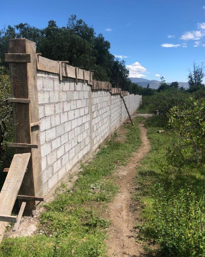 Terreno en Venta 7.080 m² en Checa — imagen 7