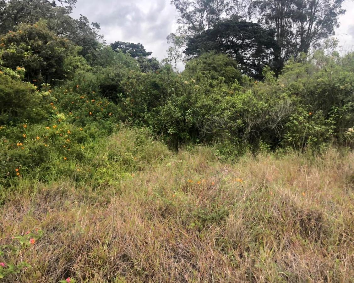 Terreno en Venta 7.080 m² en Checa — imagen 6