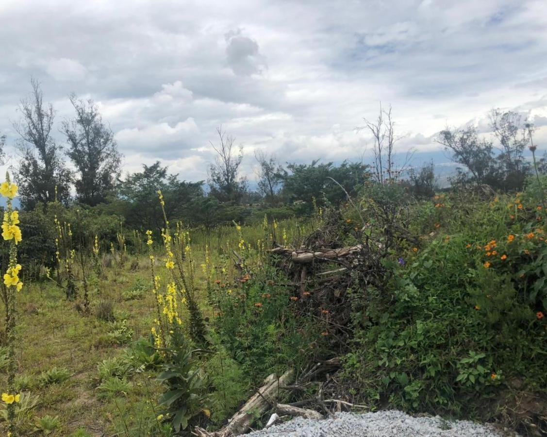 Terreno en Venta 7.080 m² en Checa — imagen 3