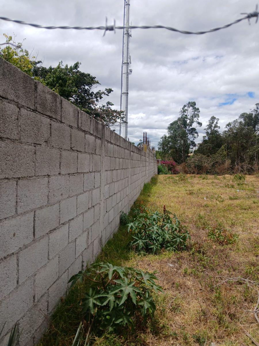 Terreno de 2400 m² en Venta en Tanda — imagen 10