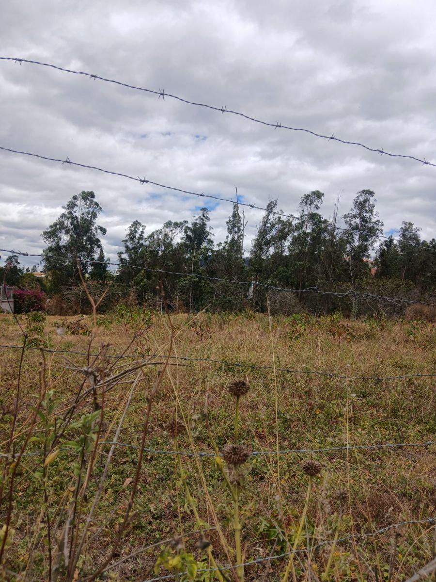 Terreno de 2400 m² en Venta en Tanda — imagen 5