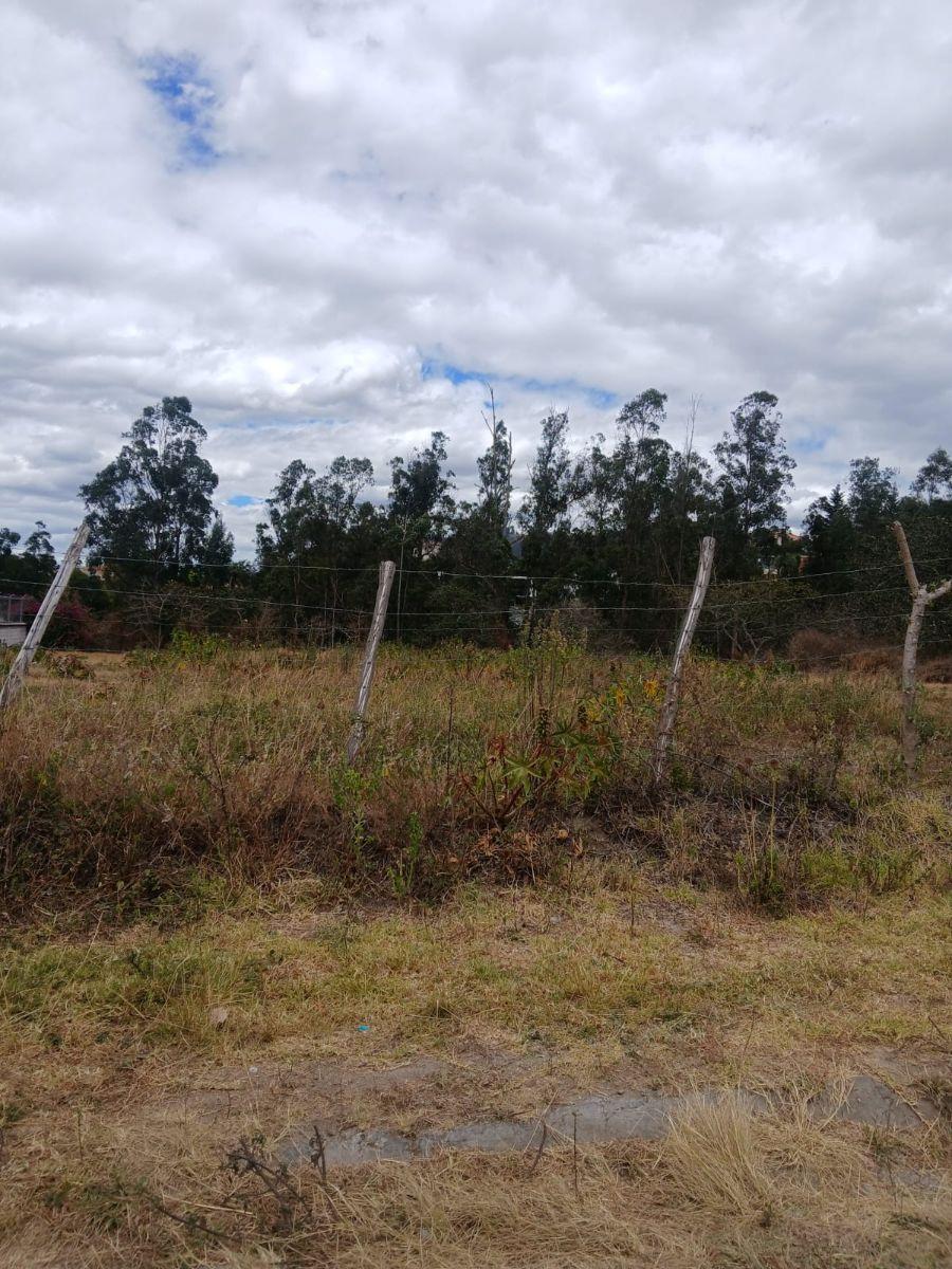 Terreno de 2400 m² en Venta en Tanda — imagen 4