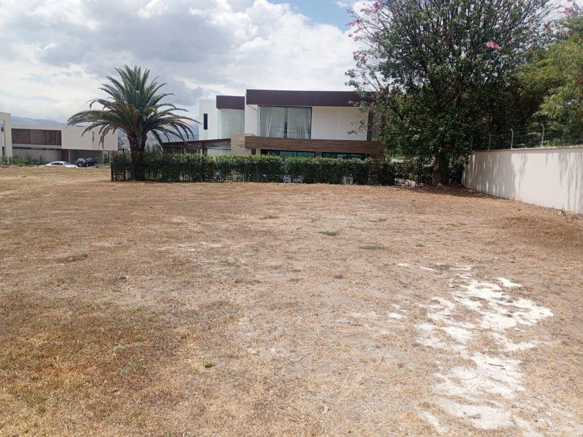 Terreno en Venta Dentro de Una Urbanización Privada de Alta Plusvalía — imagen 8