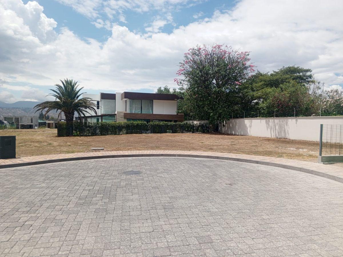 Terreno en Venta Dentro de Una Urbanización Privada de Alta Plusvalía — imagen 7