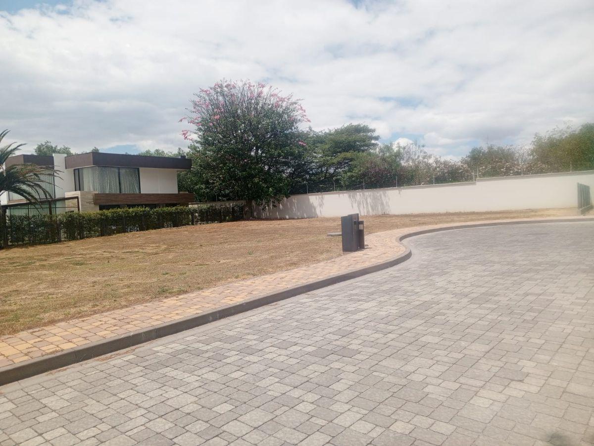 Terreno en Venta Dentro de Una Urbanización Privada de Alta Plusvalía — imagen 6