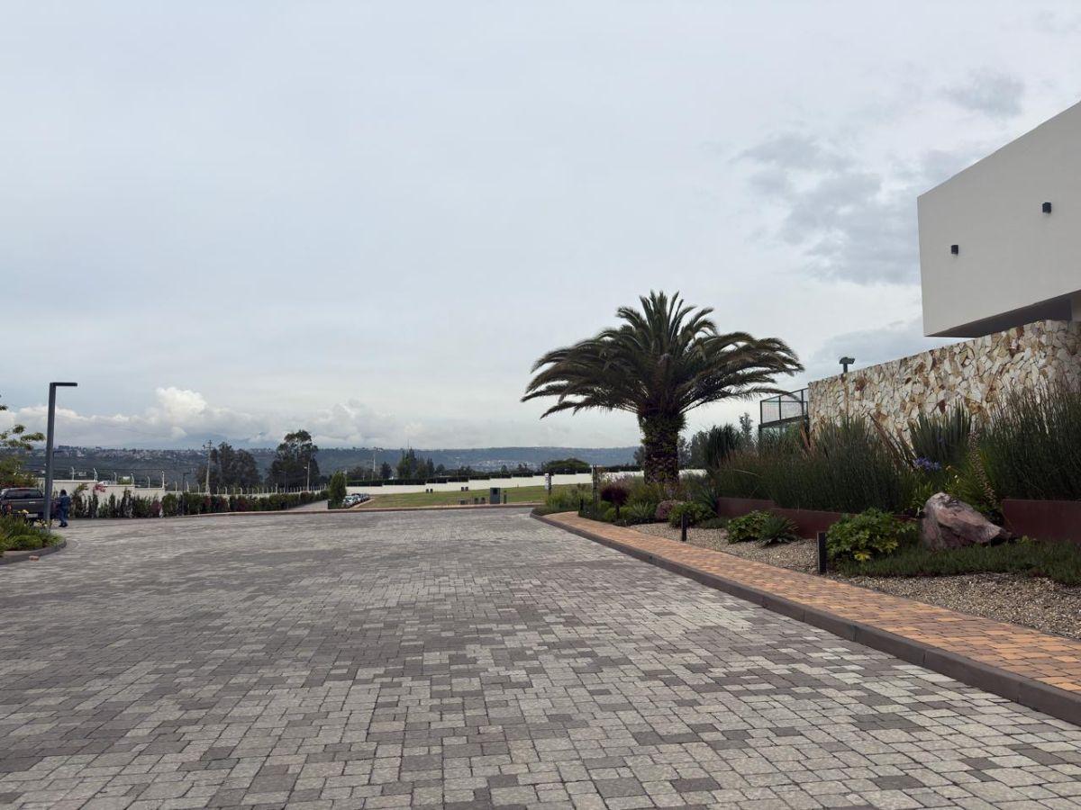 Terreno de Venta, Plano, Dentro de Urbanización Exclusiva, Puembo, Precio de Oportunidad. Provincia de Pichincha — imagen 9