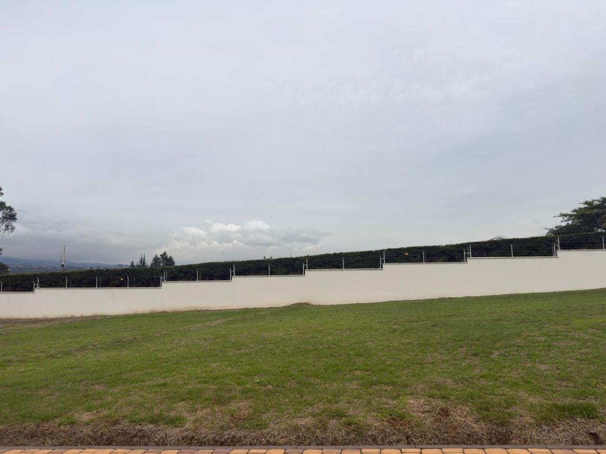Terreno de Venta, Plano, Dentro de Urbanización Exclusiva, Puembo, Precio de Oportunidad. Provincia de Pichincha — imagen 8
