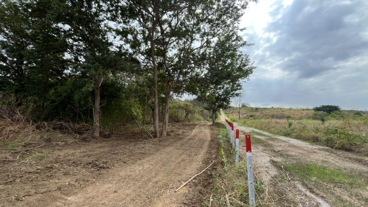 En Venta Terreno 100 Hectáreas, Vía a La Costa Km 44 - N. Dorado, Guayas — imagen 10
