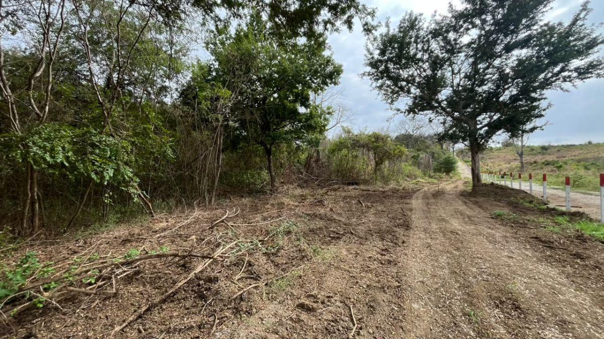 En Venta Terreno 100 Hectáreas, Vía a La Costa Km 44 - N. Dorado, Guayas — imagen 9