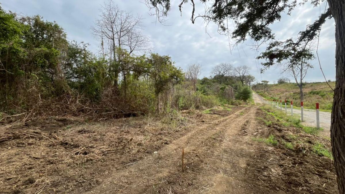 En Venta Terreno 100 Hectáreas, Vía a La Costa Km 44 - N. Dorado, Guayas — imagen 8