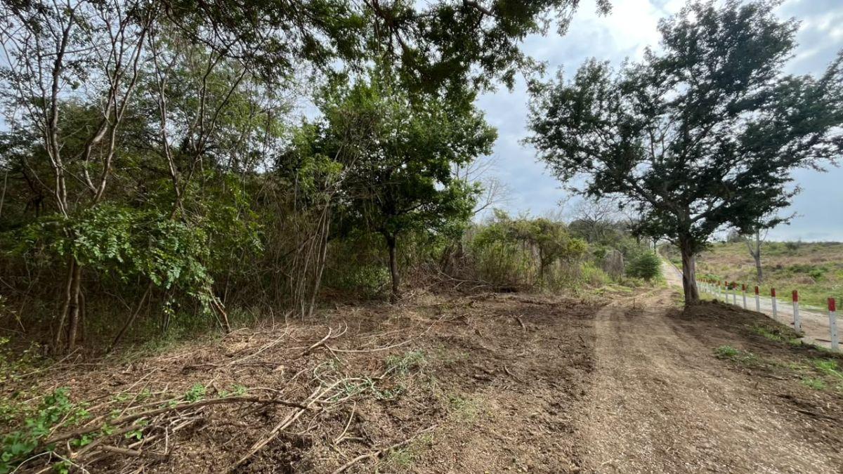 En Venta Terreno 100 Hectáreas, Vía a La Costa Km 44 - N. Dorado, Guayas — imagen 5