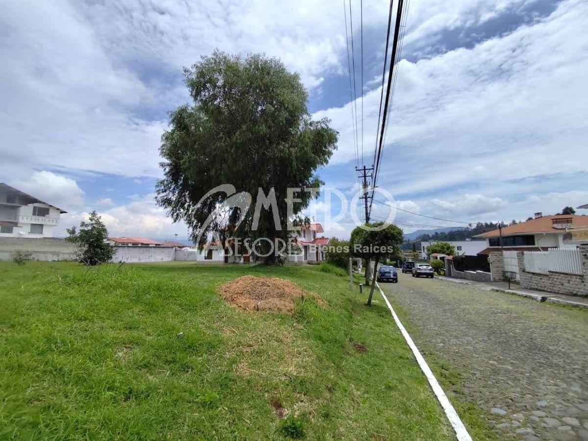 Terreno en Venta de 879 m² – Club Los Chillos — imagen 5