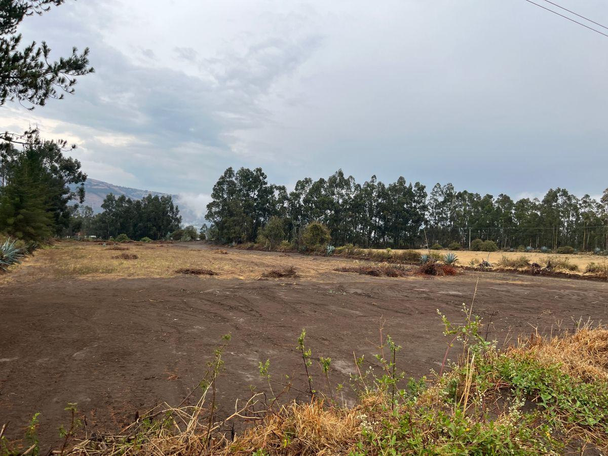 Vendo Bonitos Lotes Planos de Terreno. Provincia de Pichincha — imagen 3