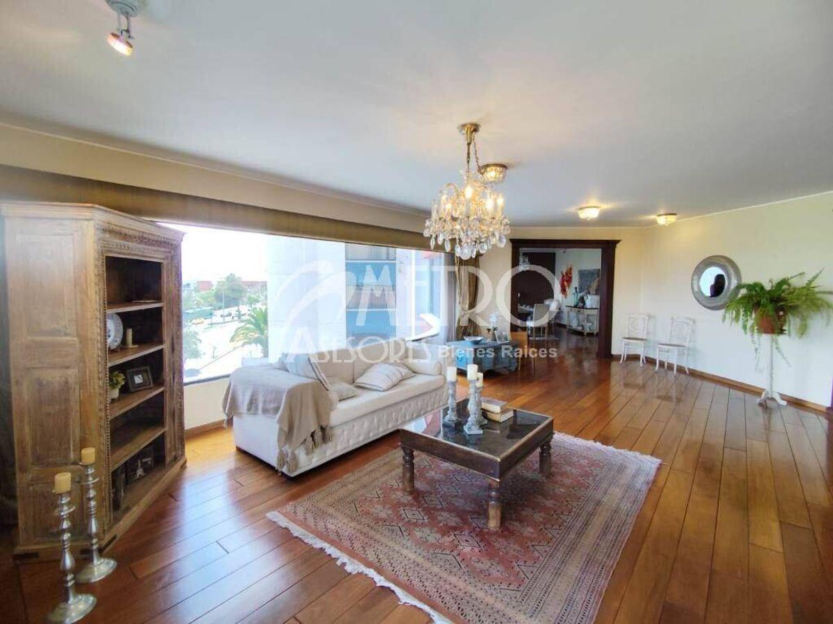 Amplio Departamento en Venta de 396 m² en El Bosque — imagen 10