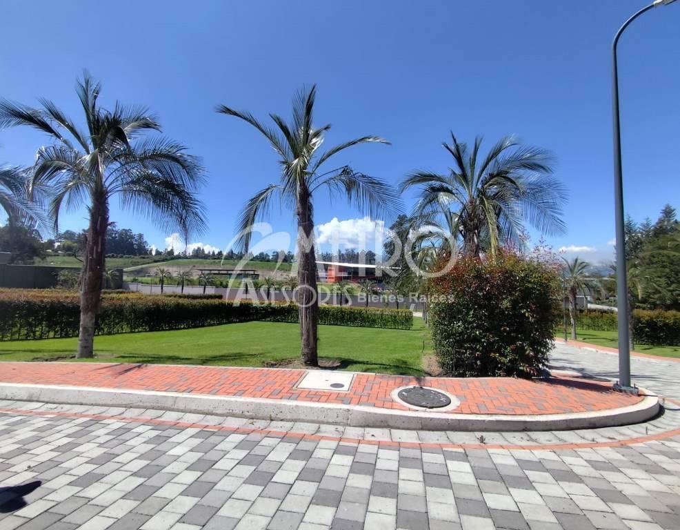 Terreno en Venta de 544 m² en Puembo — imagen 8