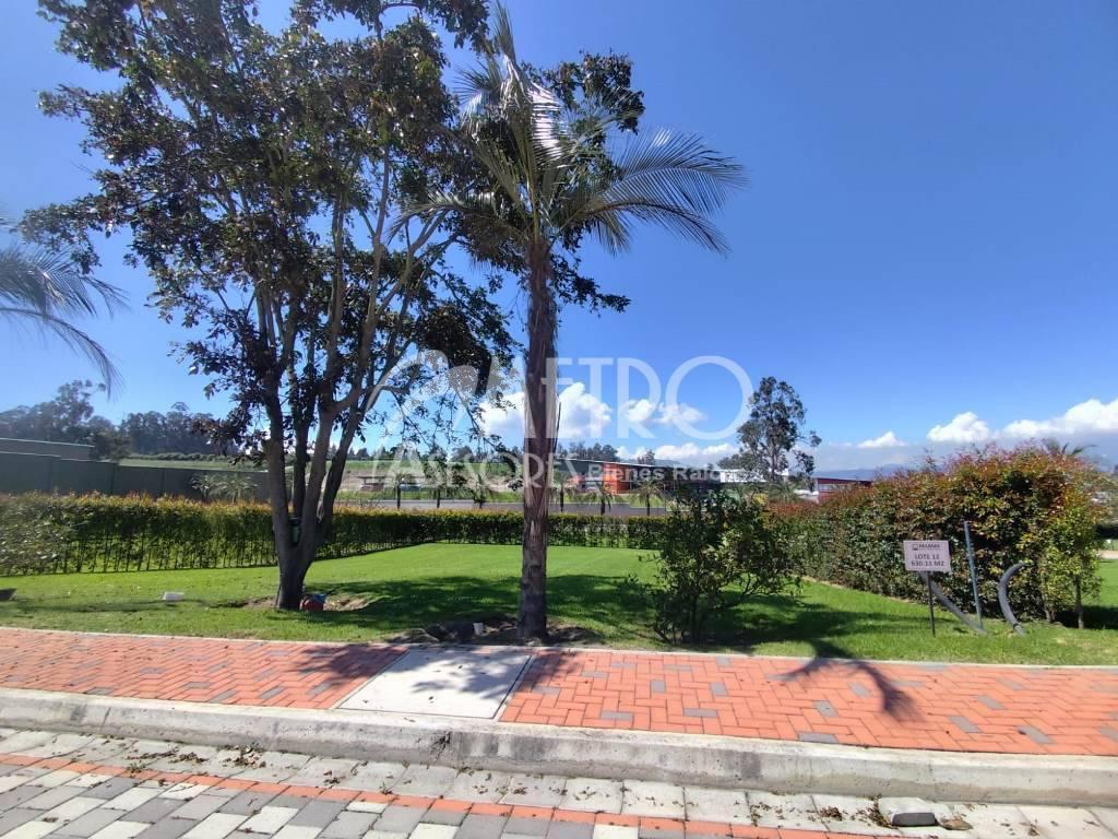 Terreno en Venta de 544 m² en Puembo — imagen 7