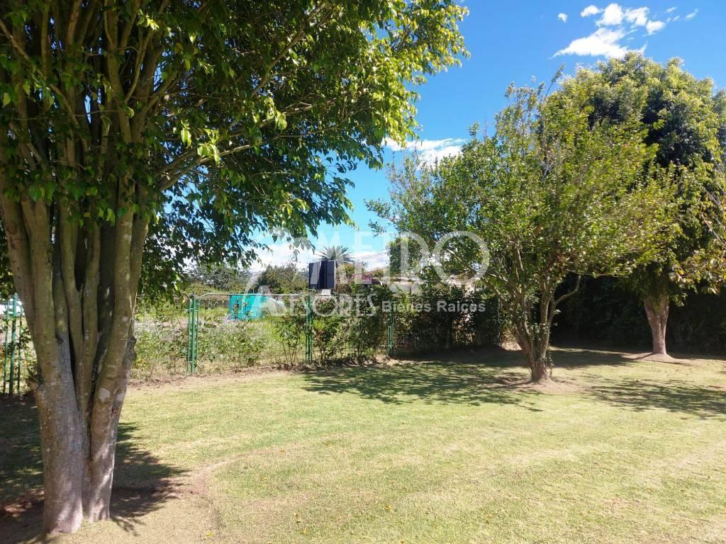 Terreno en Venta 519 m² en Puembo – Vía a Arrayanes — imagen 8