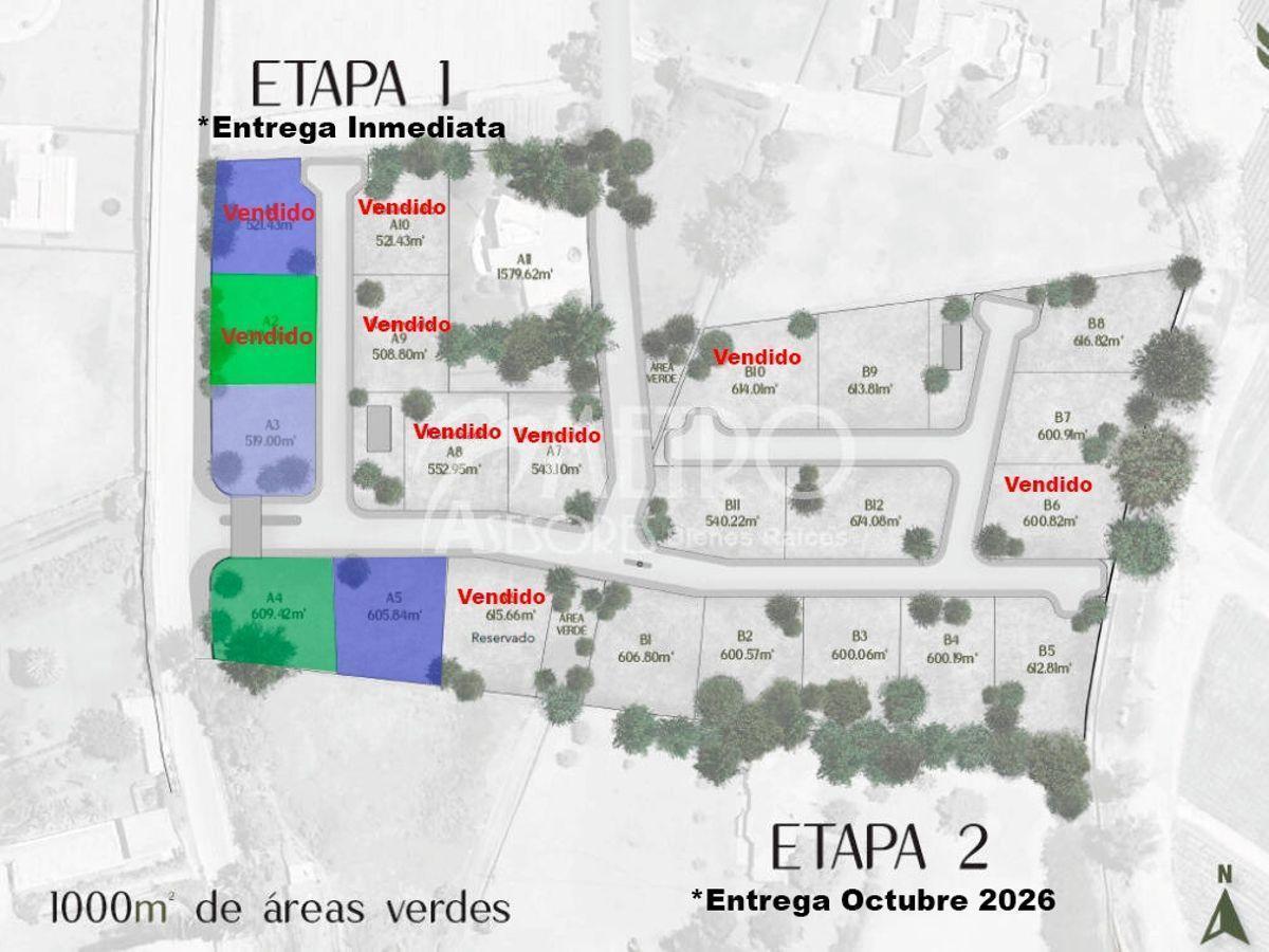Terreno en Venta 519 m² en Puembo – Vía a Arrayanes — imagen 4