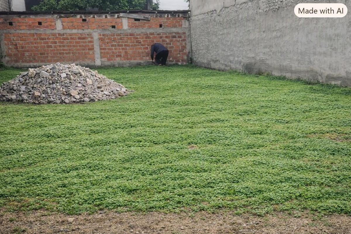 Terreno en El Sur a Una Cuadra de La Av 25 Julio, Guayas — imagen 4