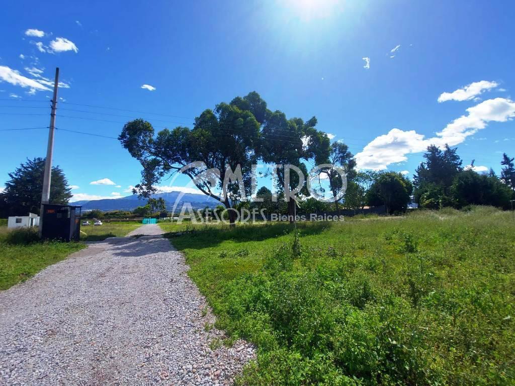Terreno en Venta 616 m² en Puembo — imagen 9
