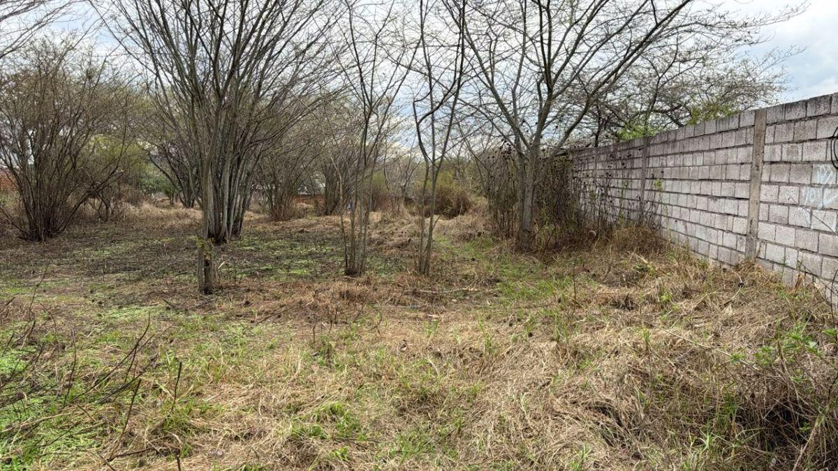 Terreno de 2063 m² en Venta en Tumbaco La Viña Alta — imagen 9