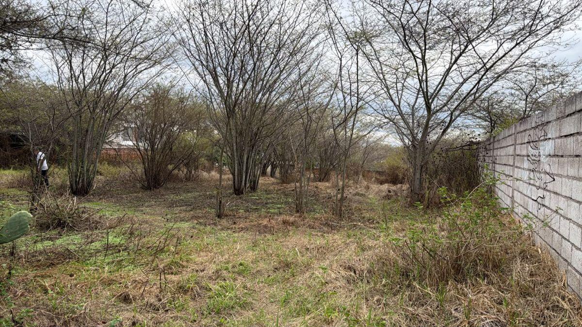 Terreno de 2063 m² en Venta en Tumbaco La Viña Alta — imagen 8