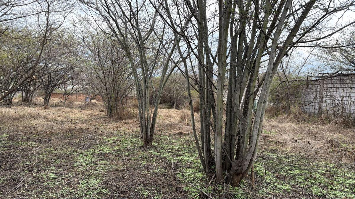 Terreno de 2063 m² en Venta en Tumbaco La Viña Alta — imagen 7