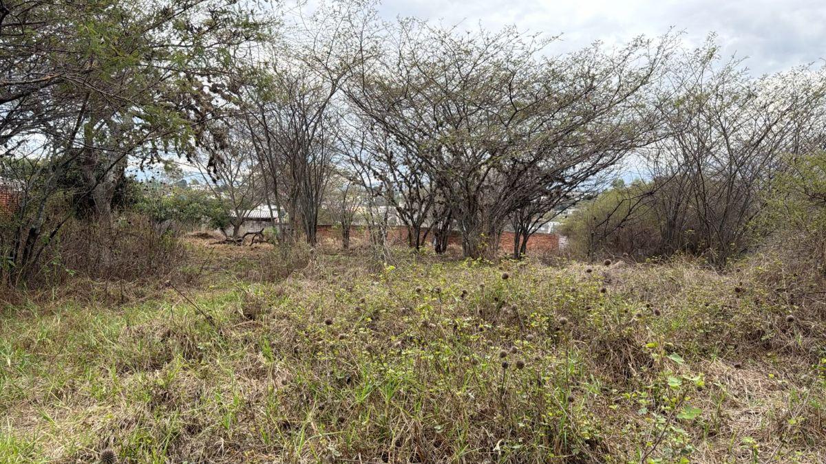 Terreno de 2063 m² en Venta en Tumbaco La Viña Alta — imagen 6