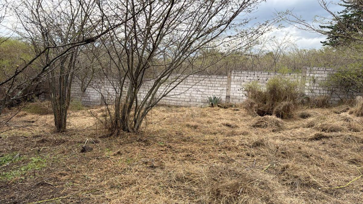 Terreno de 2063 m² en Venta en Tumbaco La Viña Alta — imagen 5
