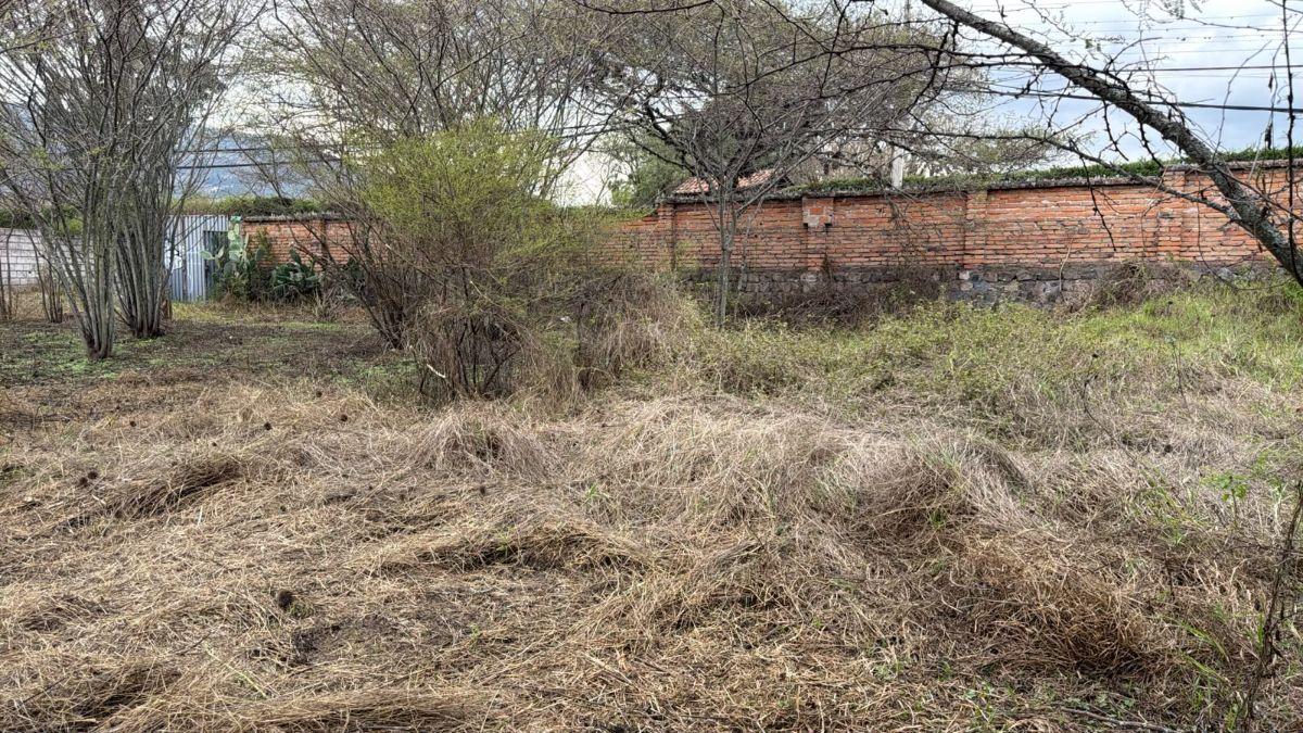 Terreno de 2063 m² en Venta en Tumbaco La Viña Alta — imagen 4
