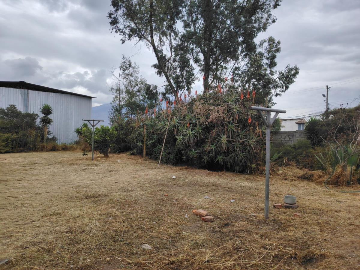 Venta Terreno Plano de 1.710 m² | 47 m de Frente | Cos 80% / 240% | San José de Morán — imagen 9