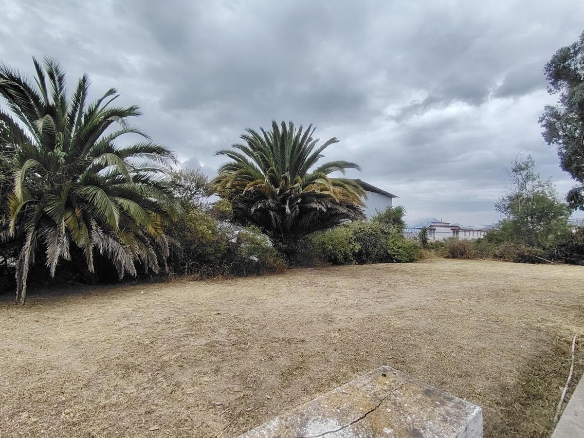 Venta Terreno Plano de 1.710 m² | 47 m de Frente | Cos 80% / 240% | San José de Morán — imagen 7