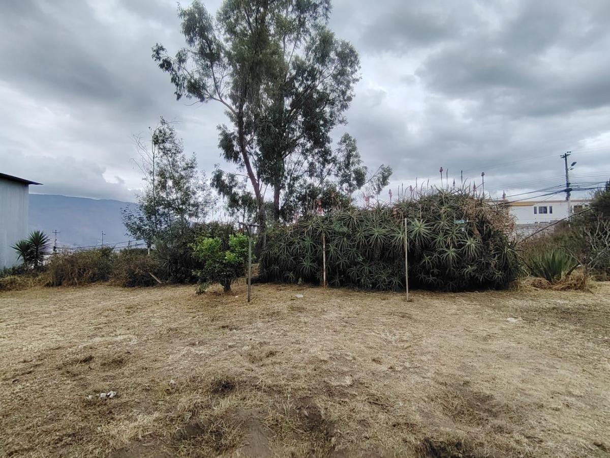 Venta Terreno Plano de 1.710 m² | 47 m de Frente | Cos 80% / 240% | San José de Morán — imagen 6