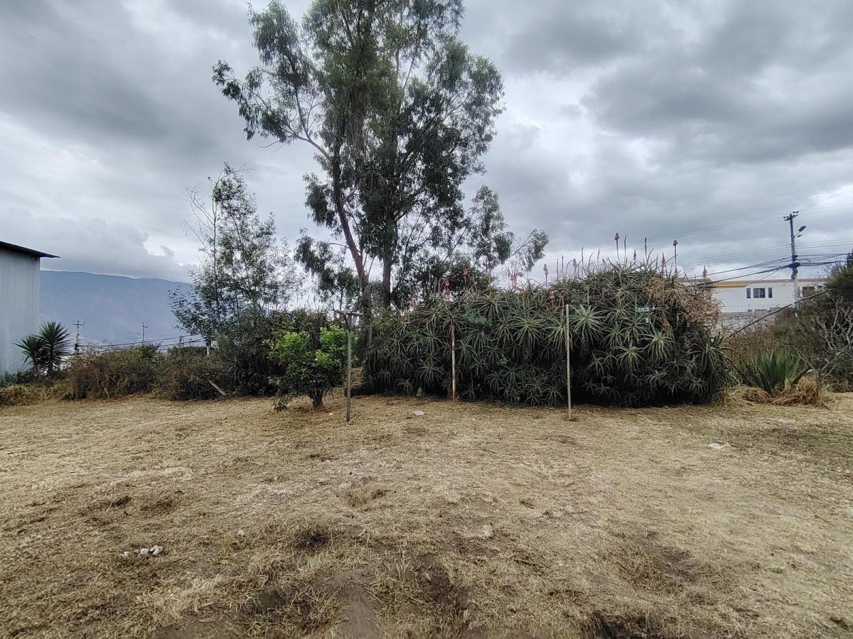 Venta Terreno Plano de 1.710 m² | 47 m de Frente | Cos 80% / 240% | San José de Morán — imagen 4